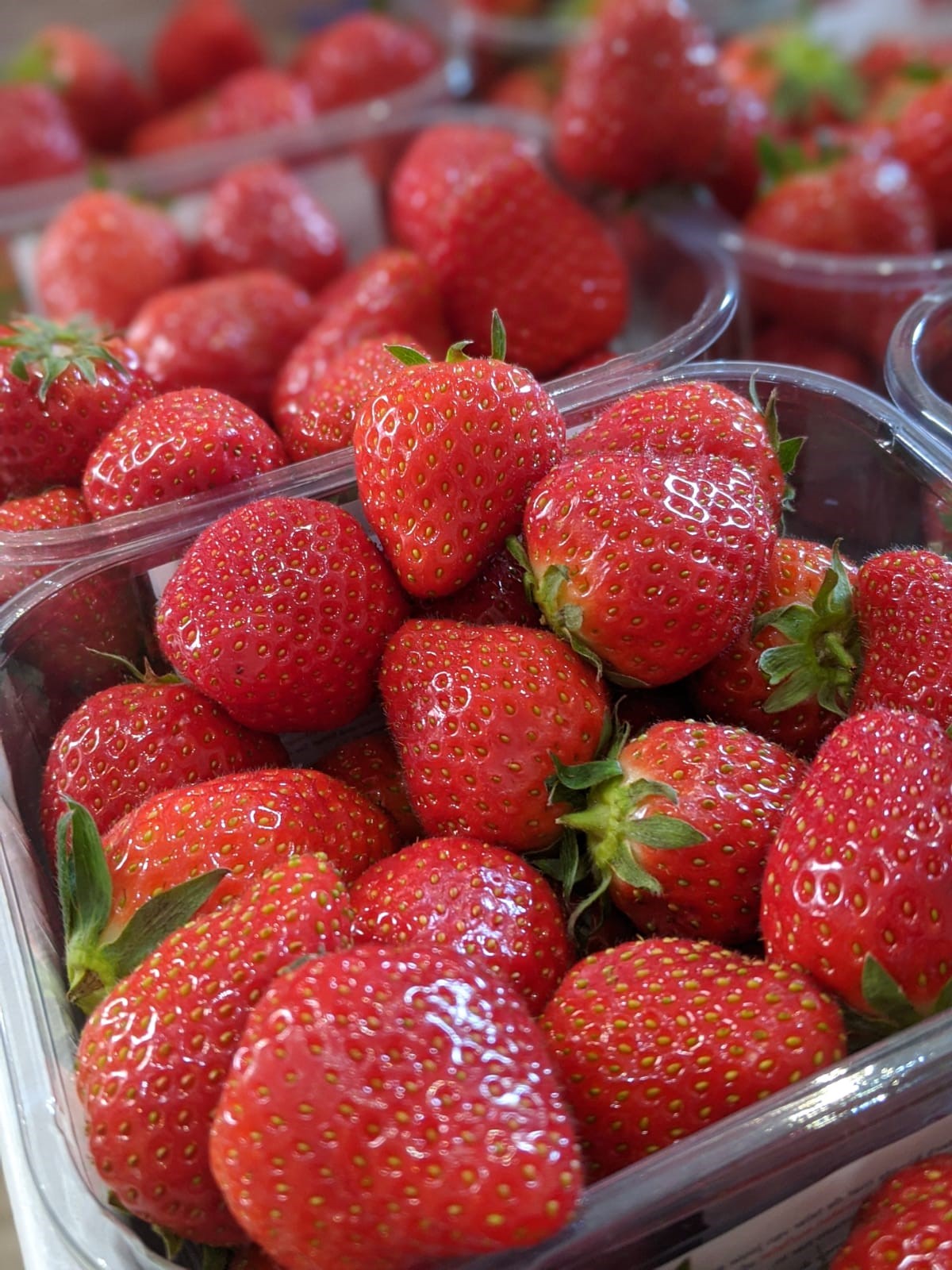 Strawberries Detail 3