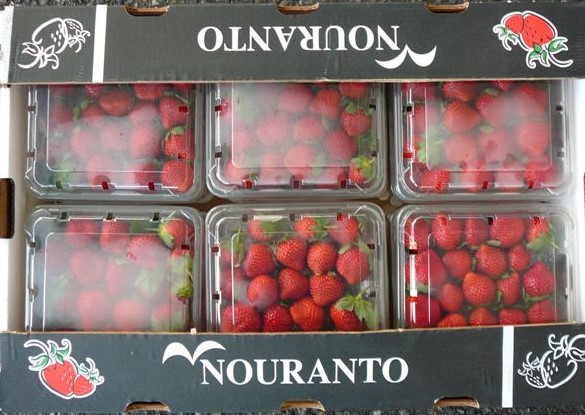 Strawberries Detail 4